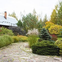 Дизайн дачного участка фото